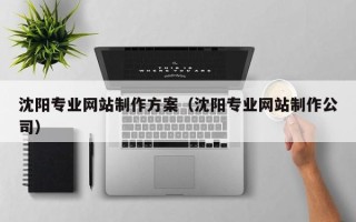 长岭沈阳专业网站制作方案（沈阳专业网站制作公司）
